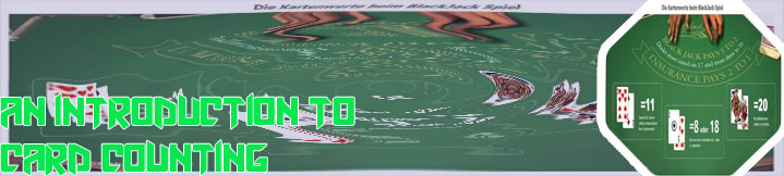 Professional blackjack player without card counting